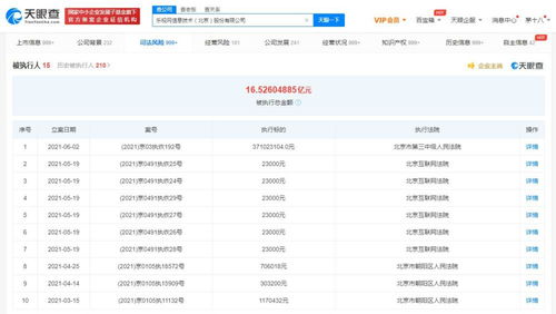 互联网文化活动的兴起、特点与未来展望